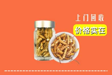 收购资讯:昌都市丁青回收散虫草