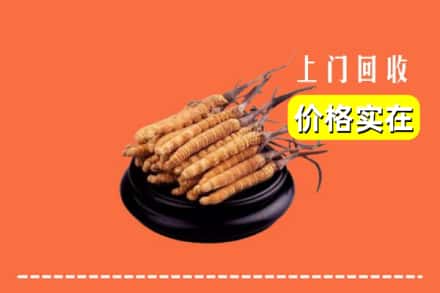 昌都市丁青回收冬虫夏草